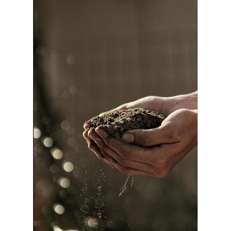 Organic Vermicompost 400 GM